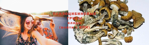 гидропоника Алексеевка