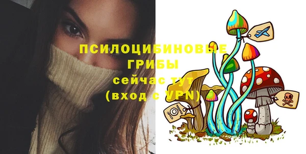синтетический гашиш Алексин
