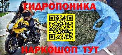 PSILOCYBIN Кумертау
