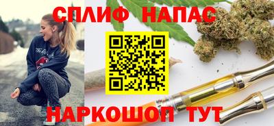 стаф Кунгур