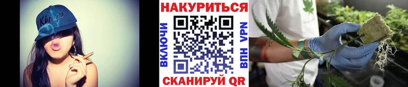 Марихуана семена  продажа наркотиков  мориарти клад  Кольчугино 